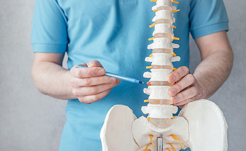 Chiropractor Pointing At Spine
