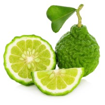 Bergamot Oil Fcf Bergapten Free Citrus Aurantium Var Bergamia Essential Oil Productpic
